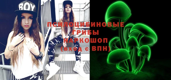 PSILOCYBIN Видное
