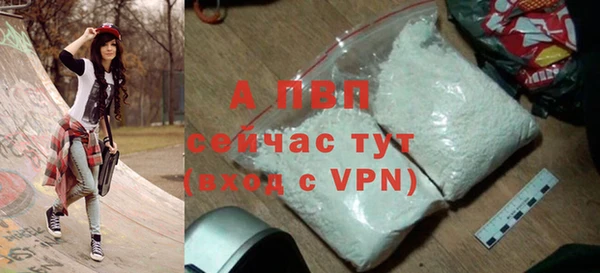 прущие грибы Весьегонск