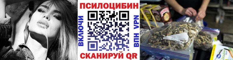 что такое   Константиновск  Псилоцибиновые грибы Psilocybine cubensis 